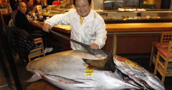 El pescado más caro del mundo
