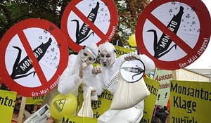 Una protesta contra Monsanto en Alemania. Foto: Archivo - RT