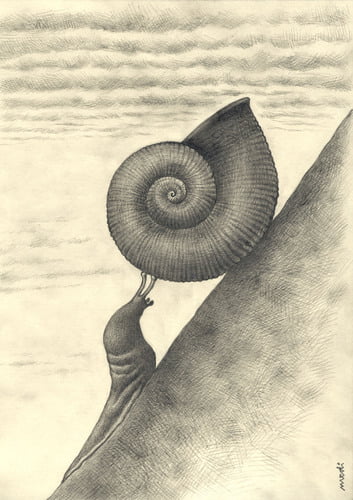 caracol