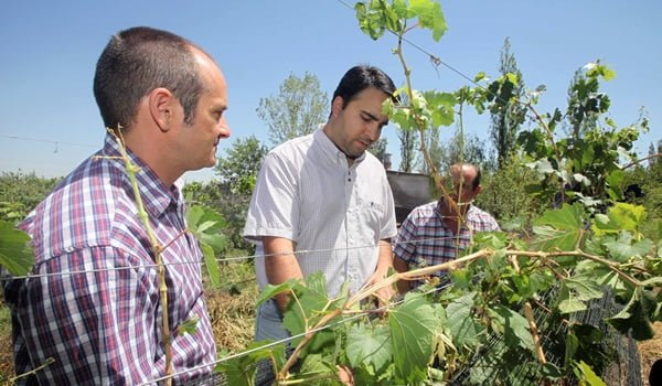 El otorgamiento de subsidios a los productores afectados por inclemencias climáticas pasó al Senado con media sanción de Diputados. Foto: Archivo