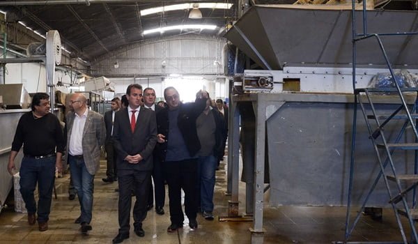 Francisco Pérez recorrió la planta de Matas junto al ministro de Agroindustria, Marcelo Costa, el intendente de Guaymallén, Luis Lobos; y el diputado Claudio Díaz. Foto: Prensa Gobierno de Mendoza