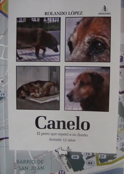 canelo