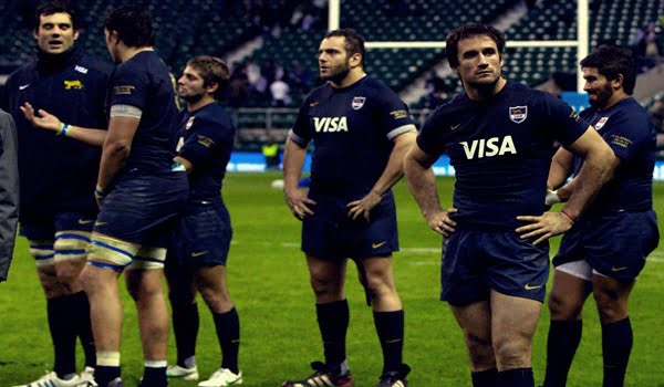 Los Pumas - November tour 2013 UK - Test Match v England