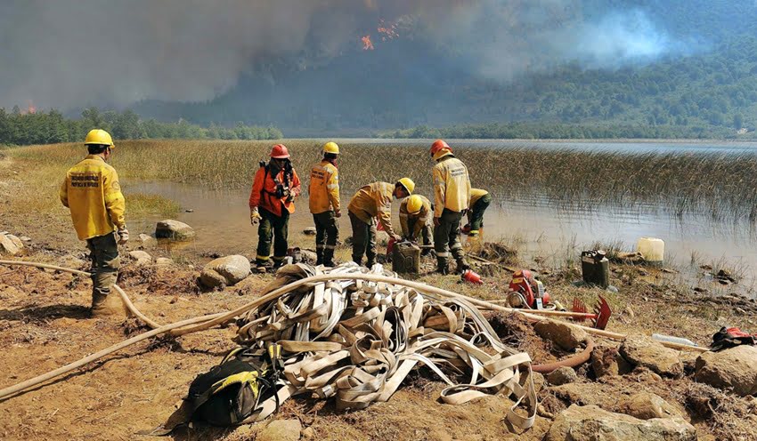 Grandes extensiones de bosques fueron arrasadas por el fuego en la Patagonia. 