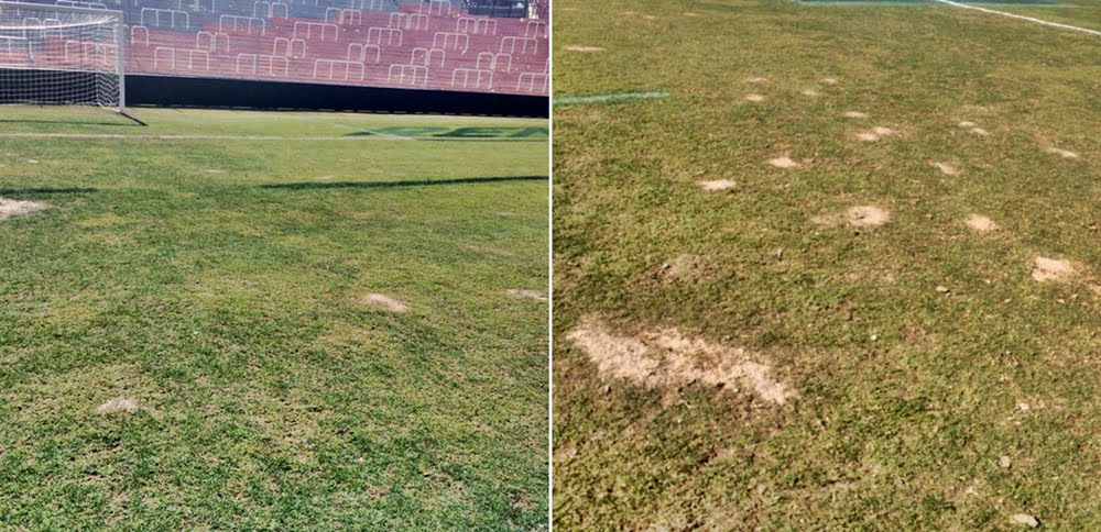 Así se mostraba este domingo el campo del Malvinas Argentinas, imposible para jugar al fútbol profesional. Fotos: Twitter / @PielCuerva