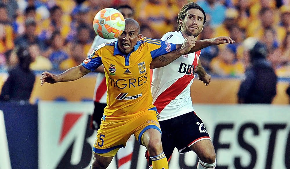 river-tigres