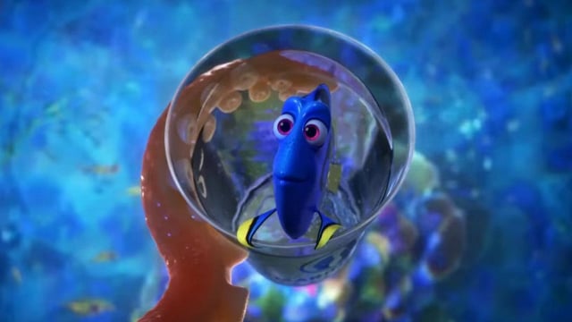 dory