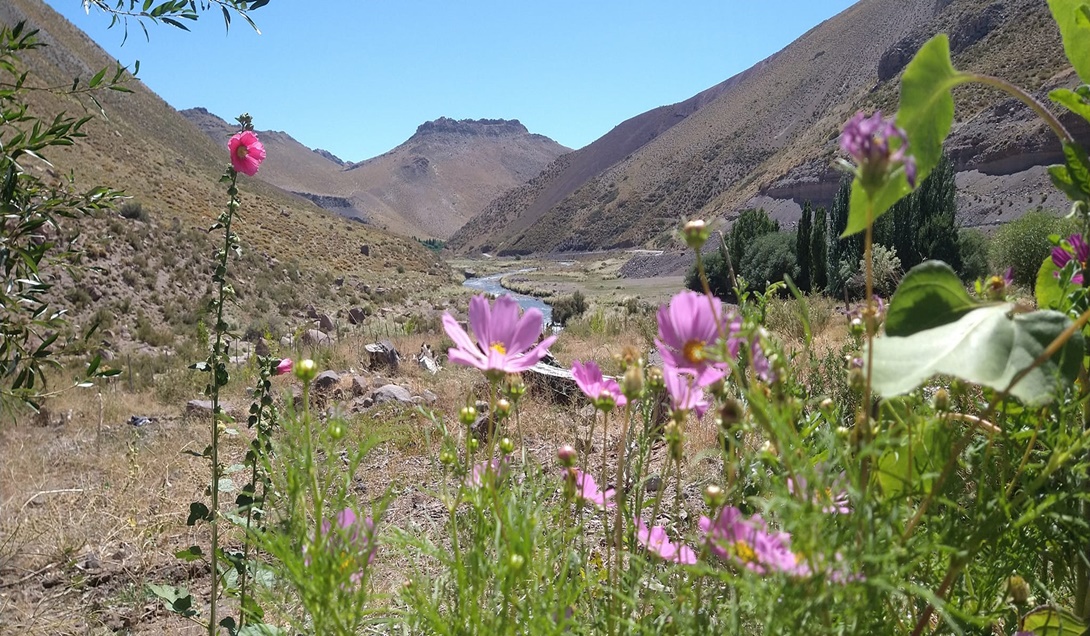 Mendoza Es La Provincia Con Mayor Cantidad De Tierras Rurales En Manos