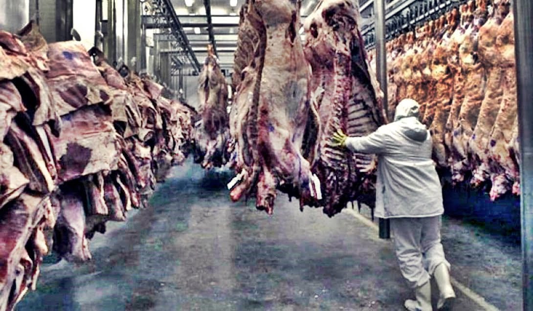 La OMC falló contra la prohibición de Estados Unidos al ingreso de carnes argentinas