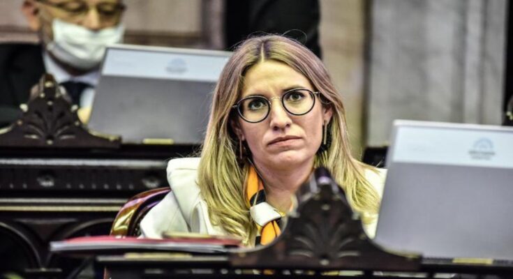 La cornejista Latorre culpó a los vuelos por no dar quórum para el etiquetado frontal y la jubilación a contratistas