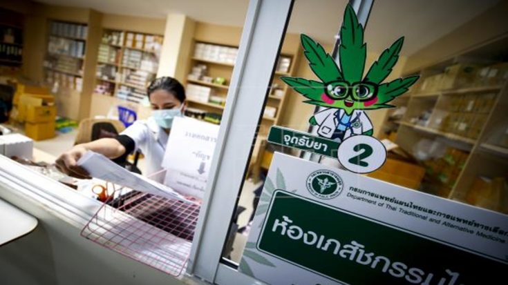 La ONU reconoció las propiedades del cannabis y la eliminó de su lista de estupefacientes peligrosos