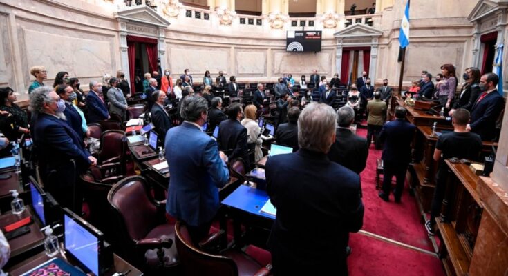 El Senado sesiona este jueves para discutir 48 DNU de Fernández