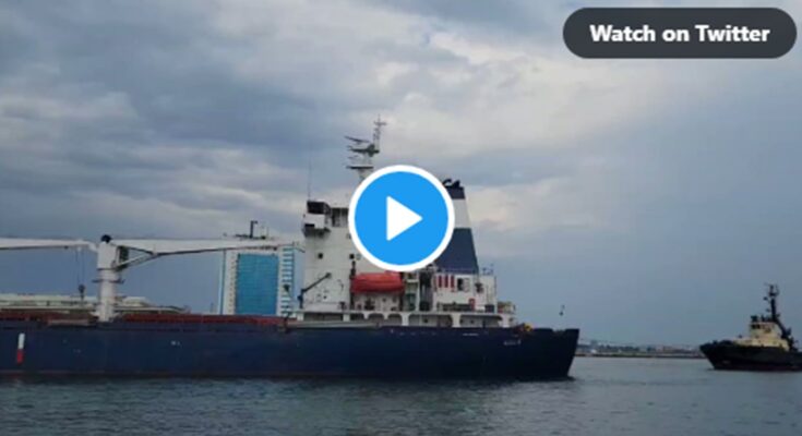 Partió de Ucrania el primer barco con cereales tras el acuerdo con Rusia
