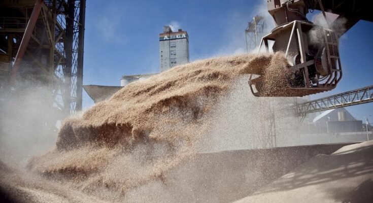 Rusia reanudó su participación en el acuerdo de exportación de cereales de Ucrania