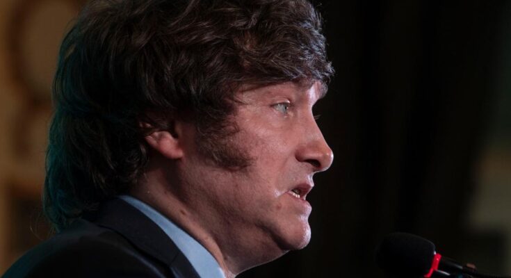 Con el testimonio de Maslatón, se inicia la causa por venta de candidaturas del partido de Milei