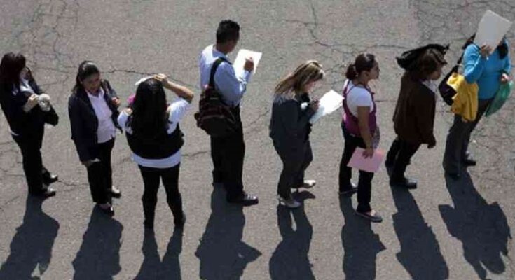 El mercado laboral del Gran Mendoza mostró estabilidad en el segundo trimestre del año