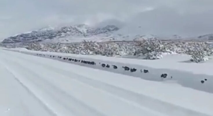 Cornejo hará la audiencia por San Jorge en el medio de la montaña  de Uspallata, en un punto de casi imposible acceso