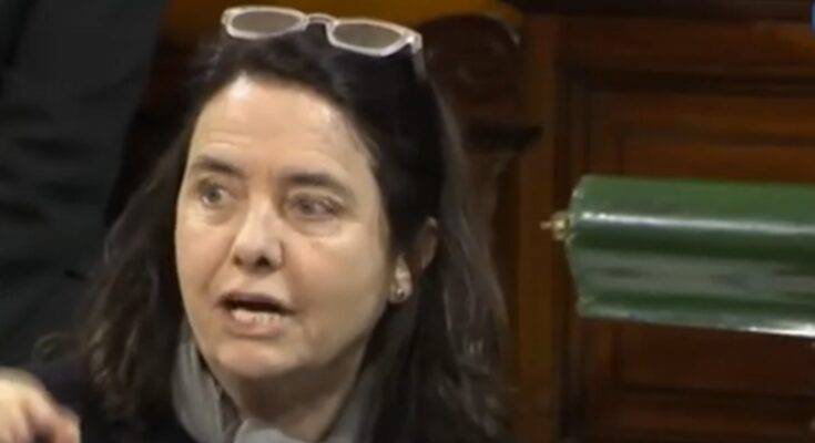 Senadora de Bullrich: «No creo que los niños argentinos tengan el derecho a venir al Garrahan»