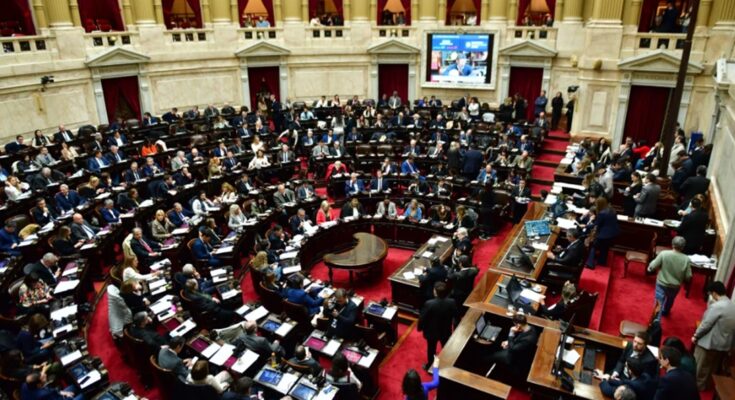 Diputados rechazó el veto de Milei a la Ley de Emergencia en Discapacidad