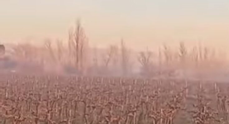 Quema descontrolada de basura: así amanecieron vecinos de La Pega por las llamas en un basural que el Gobierno dice haber clausurado