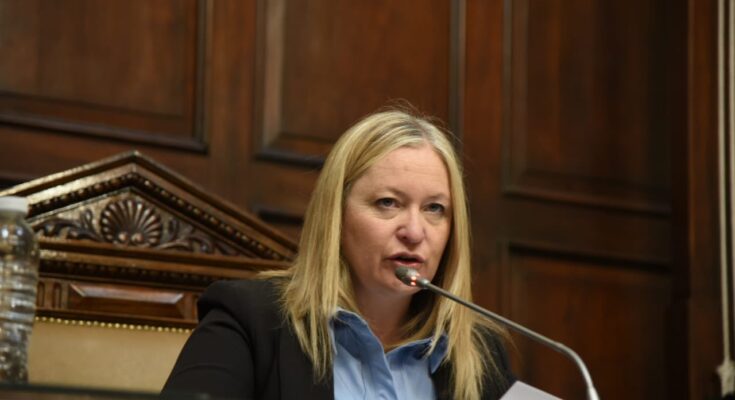 Final cantado con desempate de Casado: el Senado legalizó la precarización de los empleados públicos con la sanción de la reforma del Estatuto