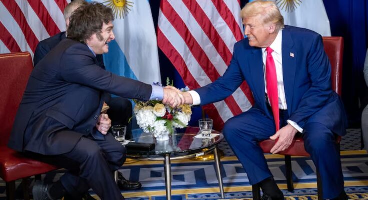 El lobby sojero estadounidense estalló contra Trump por el salvataje a Milei: la súper demanda china, en disputa