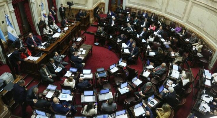 El Senado tabién rechazó el veto de Milei: es ley la Emergencia en Discapacidad