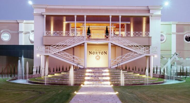 Pánico en la vitivinicultura por el corte de la cadena de pagos derivado de la crisis del consumo y las exportaciones: Norton cayó en default