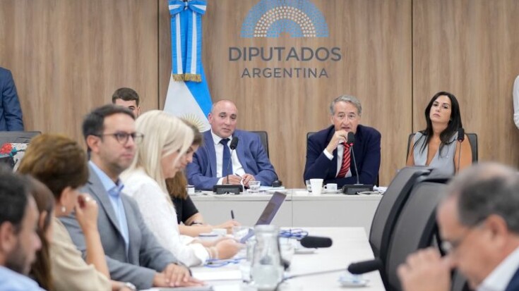 Audiencia pública por los Glaciares: por Mendoza sólo podrán participar quienes se anotaron entre los primeros cupos