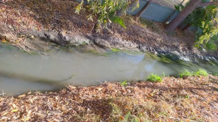 Desastre ambiental por el agua de cloaca vertida al Pescara: detectan "valores alarmantes" de contaminación en Lavalle